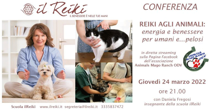 diretta informativa Animals Mago Ranch ODV sul REIKI agli animali con la relatrice Daniela Fregosi insegnante della scuola ILREIKI