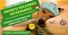 corso pronto soccorso veterinario con la dott.ssa Desiré Ombrosi