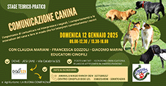 stage di comunicazione canina Jesi 120125