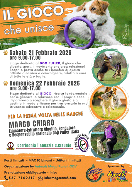 stage con Marco Chiaro sul gioco e sul dog puller che si terrà il 21 e il 22 febbraio 2026