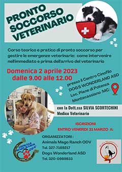 corso pronto soccorso veterinario