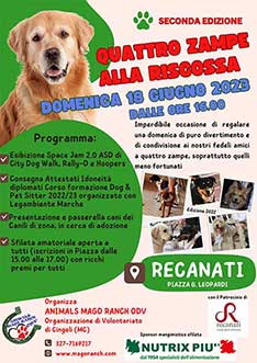 Quattro zampe alla Riscossa manifestazione in piazza a Recanati domenica 18 giugno 2023 dalle ore 16.00 organizzata da Animals Mago Ranch ODV