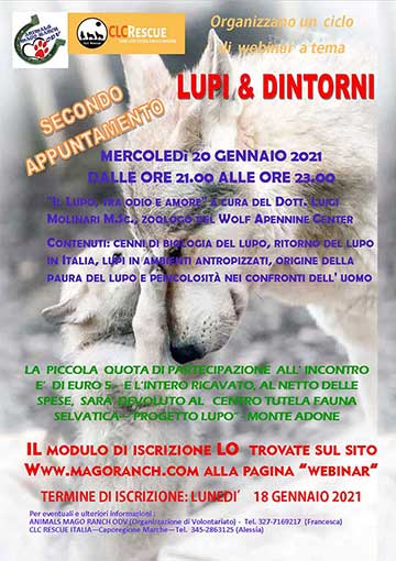 secondo webinar con Luigi Molinari del WAC Wolf Apennine Center