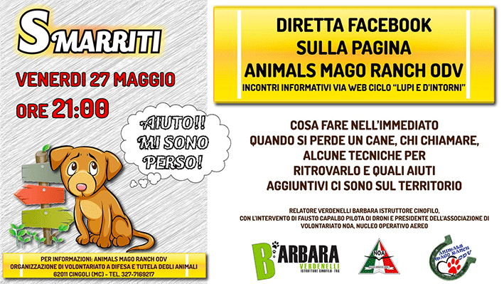 diretta informativa sugli smarrimenti dei propri animali