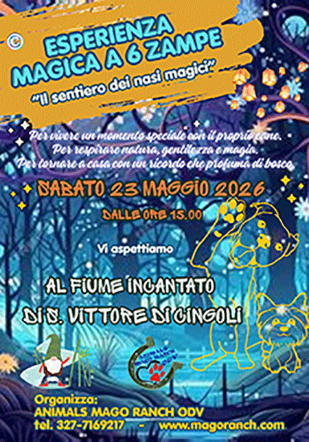 stage con Marco Chiaro sul gioco e sul dog puller che si terrà il 21 e il 22 febbraio 2026