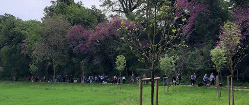 passeggiata a 6 zampe a Fiastra in memoria di Katia Fammilume
