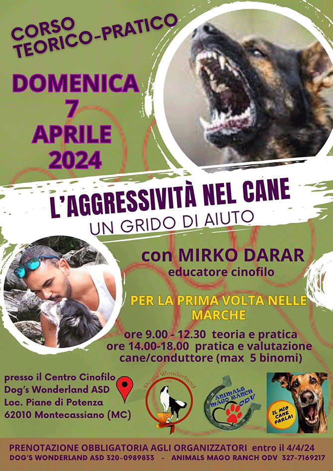 corso/stage con Mirko Darar sull'aggressività nel cane un grido di aiuto