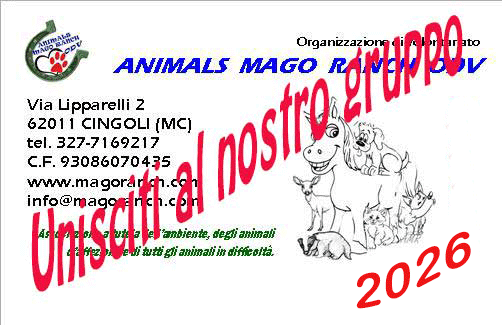 tesseramento Animals Mago Ranch ODV, entra anche tu nella squadra