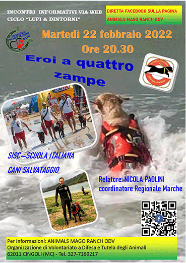 diretta Animals Mago Ranch ODV sui cani eroi della scuola italiana cani salvataggio con Nicola Paolini