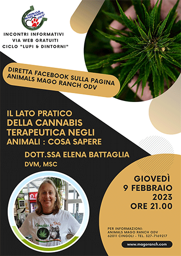 Diretta informativa Animals Mago Ranch ODV sulla CBD:Cannabis terapeutica negli animali con Dott.ssa Elena Battaglia