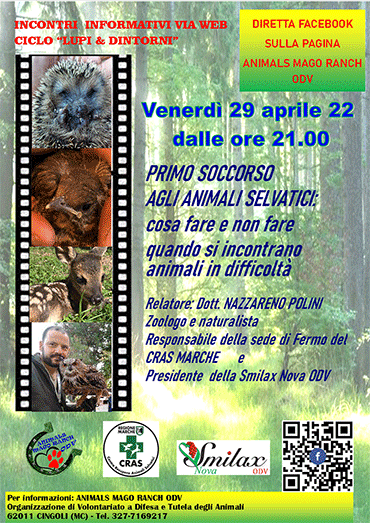 Diretta informativa Animals Mago Ranch ODV primo soccorso animali selvatici con Nazzareno Polini del CRAS MARCHE