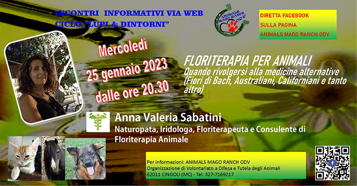 diretta informativa Floriterapia per animali con Anna Valeria Sabatini
